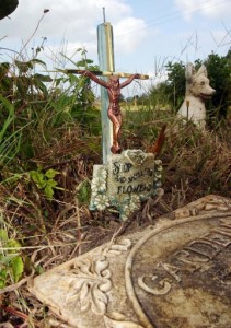 The final resting place for Noah\'s ashes at Sharon\'s parents farm on Deal Island, MD