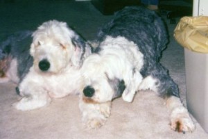 Randy with his best buddy Barney.